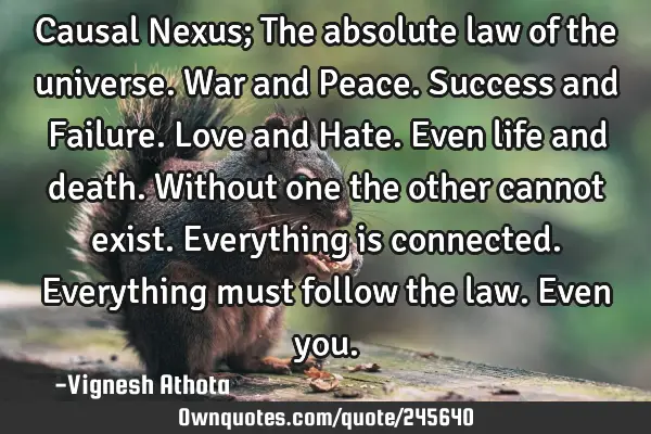 Causal Nexus; The absolute law of the universe. War and Peace. Success and Failure. Love and Hate. E
