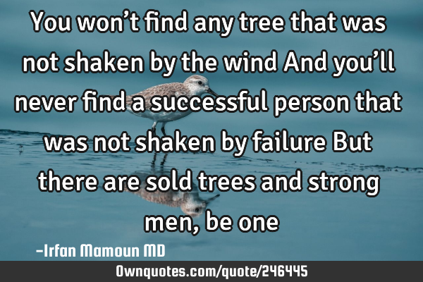 You won’t find any tree that was not shaken by the wind
And you’ll never find a successful