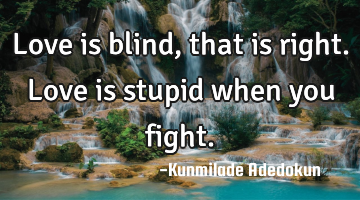Love is blind, that is right.Love is stupid when you fight.