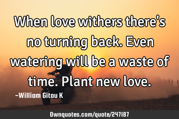 When love withers there