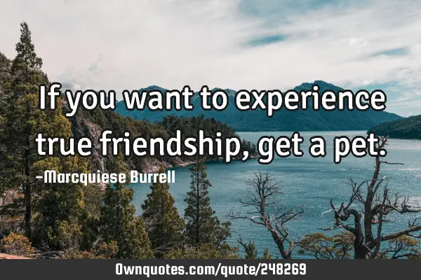 If you want to experience true friendship, get a