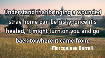 Understand that bringing a wounded stray home can be risky; once it