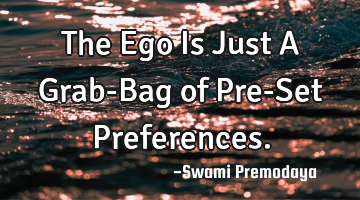 The Ego Is Just A Grab-Bag of Pre-Set Preferences.