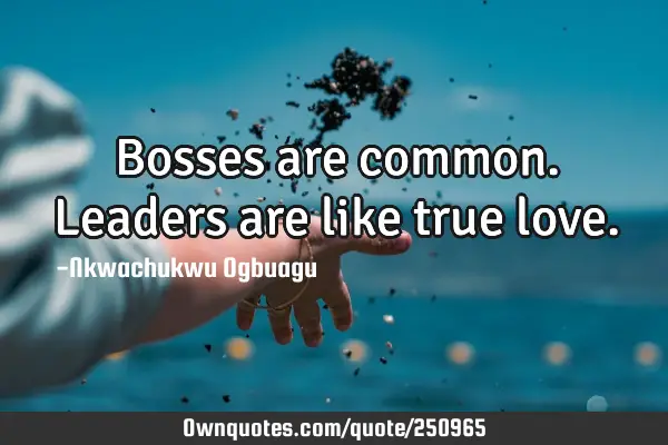 Bosses are common. Leaders are like true