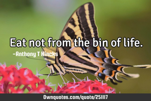 Eat not from the bin of