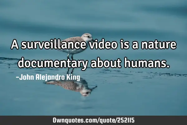 A surveillance video is a nature documentary about