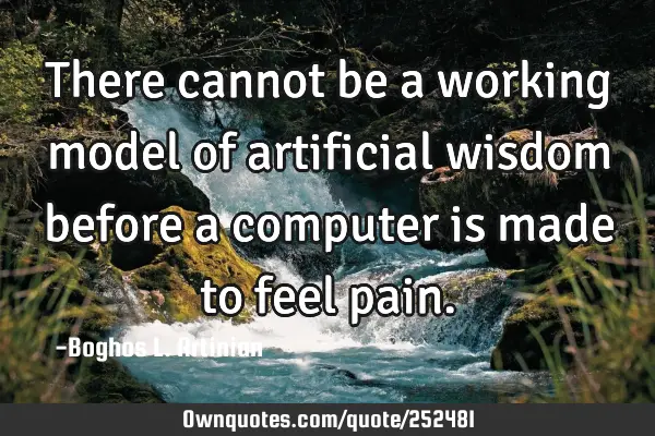 There cannot be a working model of artificial wisdom before a computer is made to feel