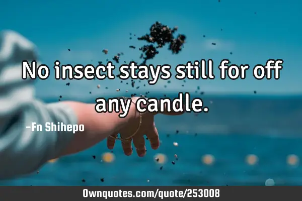 No insect stays still for off any