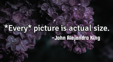 *Every* picture is actual size.