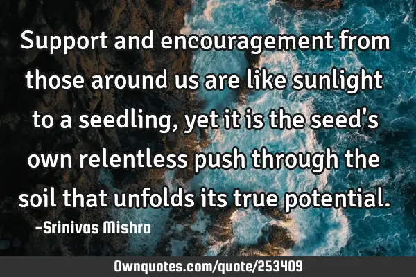 Support and encouragement from those around us are like sunlight to a seedling, yet it is the seed