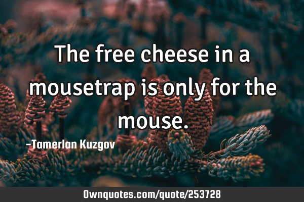 The free cheese in a mousetrap is only for the