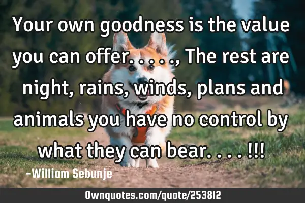 Your own goodness is the value you can offer....., The rest are night , rains, winds, plans and