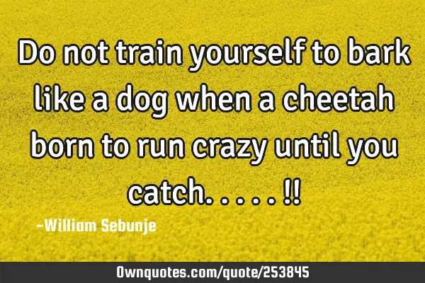 Do not train yourself to bark like a dog when a cheetah born to run crazy until you catch.....!!