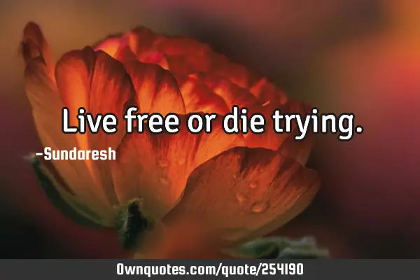 Live free or die