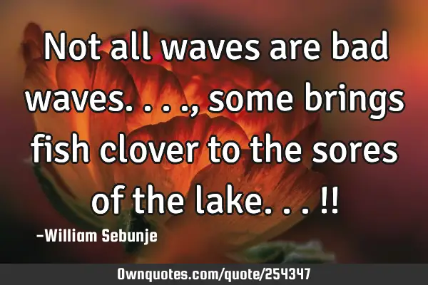 Not all waves are bad waves...., some brings fish clover to the sores of the lake...!!