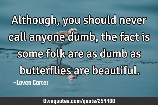 Although, you should never call anyone dumb, the fact is some folk are as dumb as butterflies are