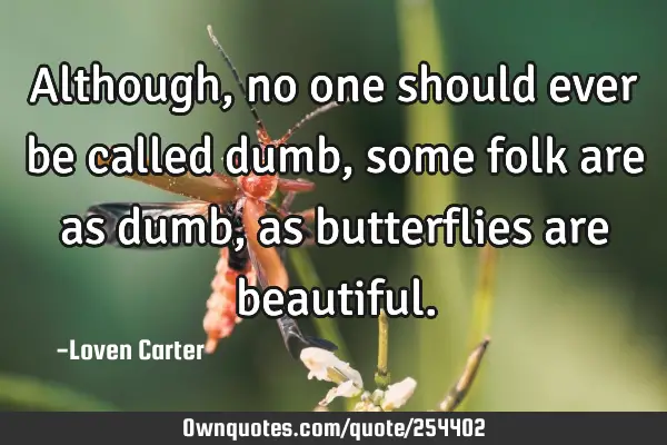 Although, no one should ever be called dumb, some folk are as dumb, as butterflies are