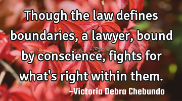 Though the law defines boundaries, a lawyer, bound by conscience, fights for what