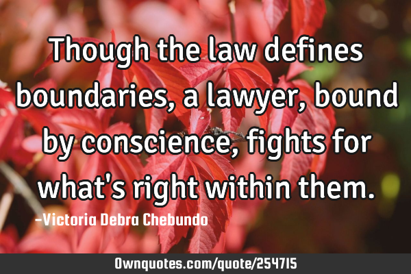 Though the law defines boundaries, a lawyer, bound by conscience, fights for what