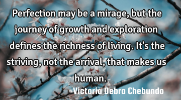 Perfection may be a mirage, but the journey of growth and exploration defines the richness of