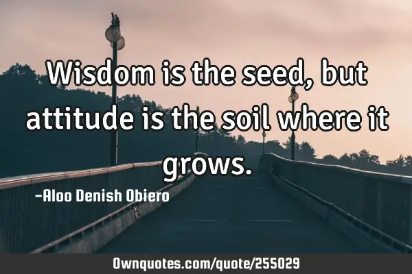 Wisdom is the seed, but attitude is the soil where it