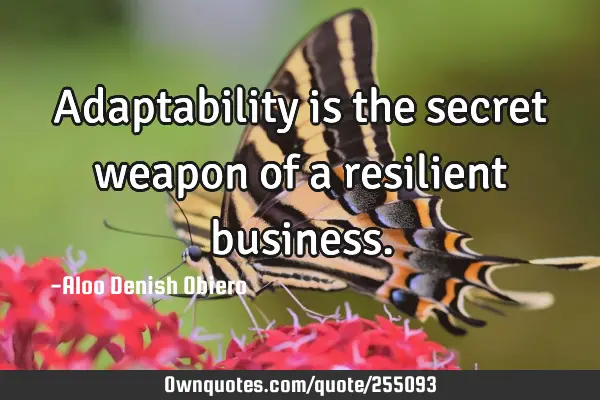 Adaptability is the secret weapon of a resilient