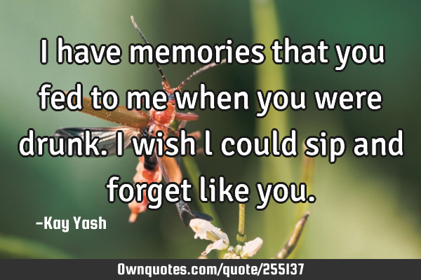 I have memories that you fed to me when you were drunk. I wish l could sip and forget like