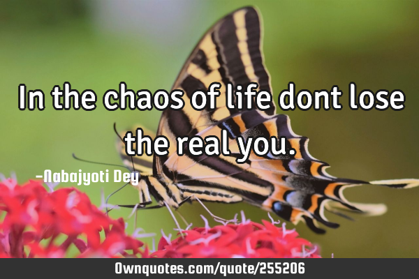 In the chaos of life dont lose the real