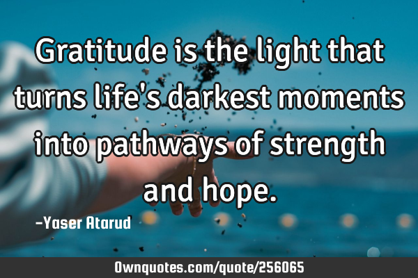 Gratitude is the light that turns life