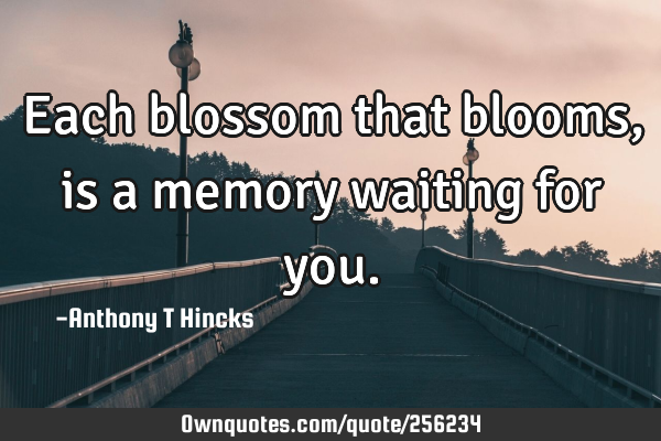 Each blossom that blooms, is a memory waiting for