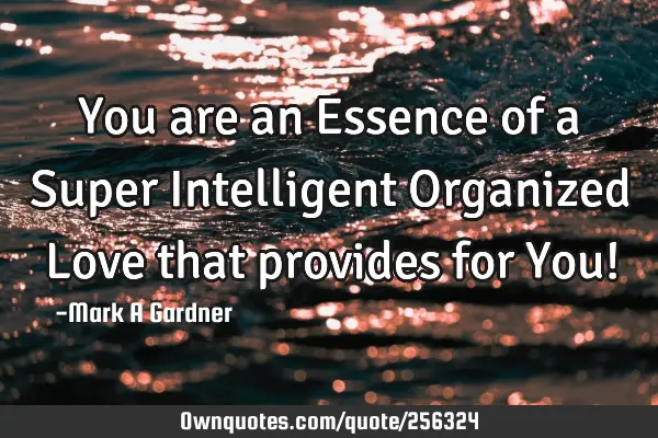 You are an Essence of a Super Intelligent Organized Love that provides for You!