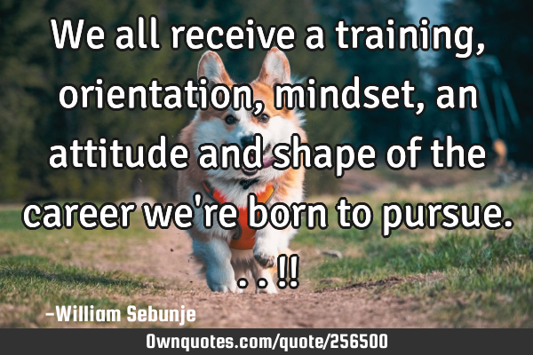 We all receive a training ,orientation, mindset, an attitude and shape of the career we