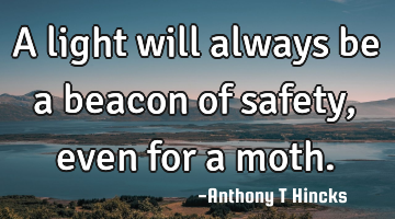 A light will always be a beacon of safety, even for a moth.