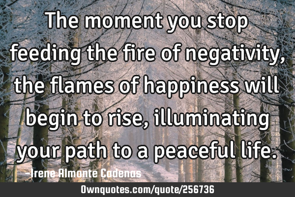 The moment you stop feeding the fire of negativity, the flames of happiness will begin to rise,