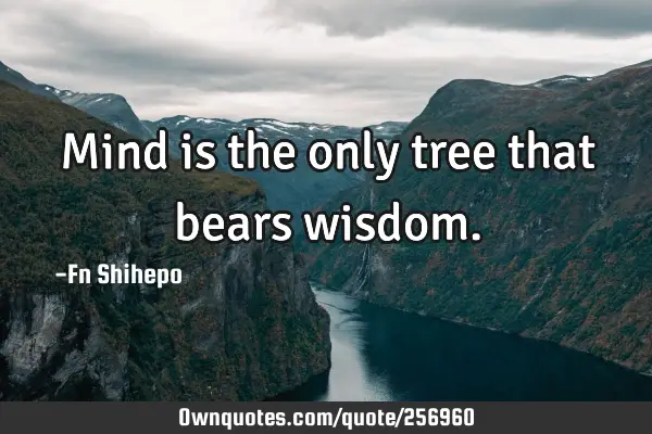 Mind is the only tree that bears