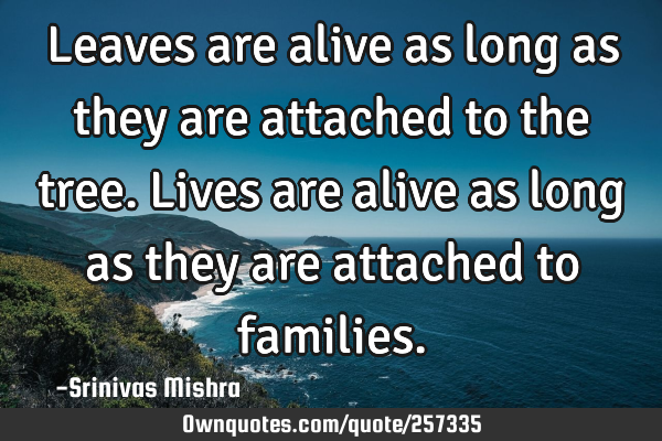 Leaves are alive as long as they are attached to the tree. Lives are alive as long as they are