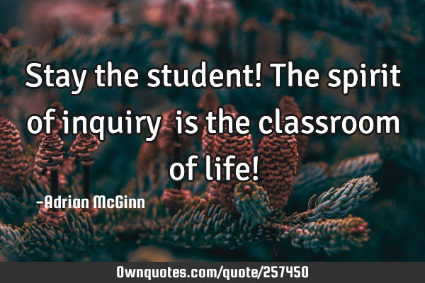 Stay the student!  The spirit of inquiry ﻿is the classroom of life!