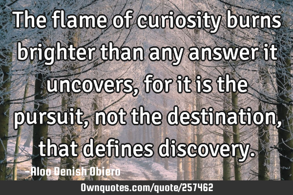 The flame of curiosity burns brighter than any answer it uncovers, for it is the pursuit, not the