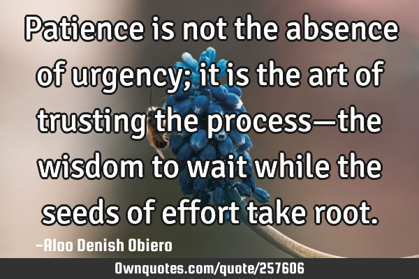 Patience is not the absence of urgency; it is the art of trusting the process—the wisdom to wait