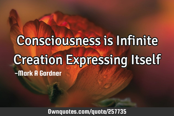 Consciousness is Infinite Creation Expressing I