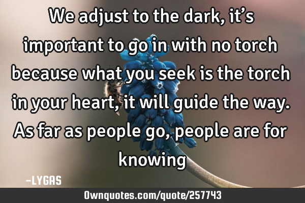 We adjust to the dark, it’s important to go in with no torch because what you seek is the torch