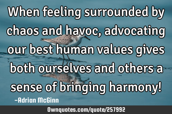 When feeling surrounded by chaos and havoc, advocating our best human values gives both ourselves