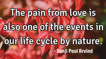 The pain from love is also one of the events in our life cycle by nature.