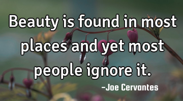 Beauty is found in most places and yet most people ignore it.