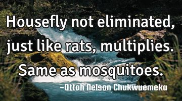 Housefly not eliminated, just like rats, multiplies. Same as mosquitoes.