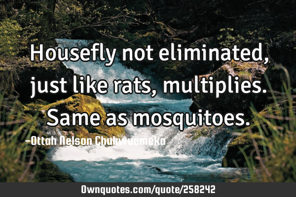 Housefly not eliminated, just like rats, multiplies. Same as