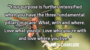 “Your purpose is further intensified when you have the three fundamental pillars in place. What,