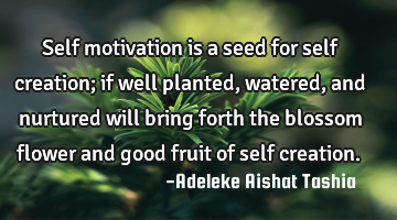 Self motivation is a seed for self creation; if well planted, watered, and nurtured will bring