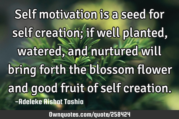 Self motivation is a seed for self creation; if well planted, watered, and nurtured will bring