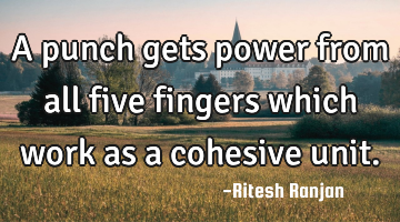 A punch gets power from all five fingers which work as a cohesive unit.